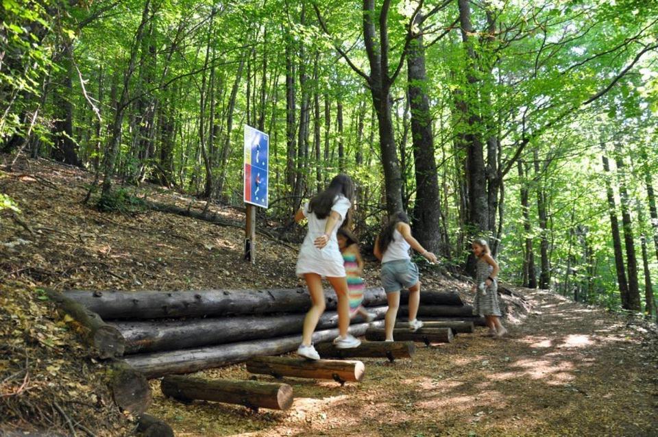 Hotel Snjezna Kuca - Nature Park Of Bosnia Herzegovina Padezina Buitenkant foto