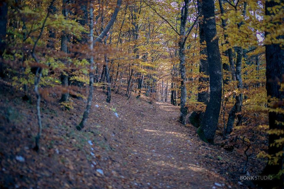 Hotel Snjezna Kuca - Nature Park Of Bosnia Herzegovina Padezina Buitenkant foto