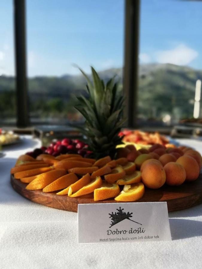 Hotel Snjezna Kuca - Nature Park Of Bosnia Herzegovina Padezina Buitenkant foto